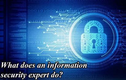 What does an information security expert do?