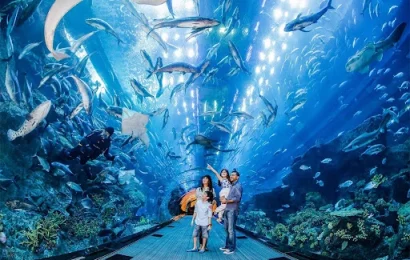 Dubai Aquarium & Underwater Zoo